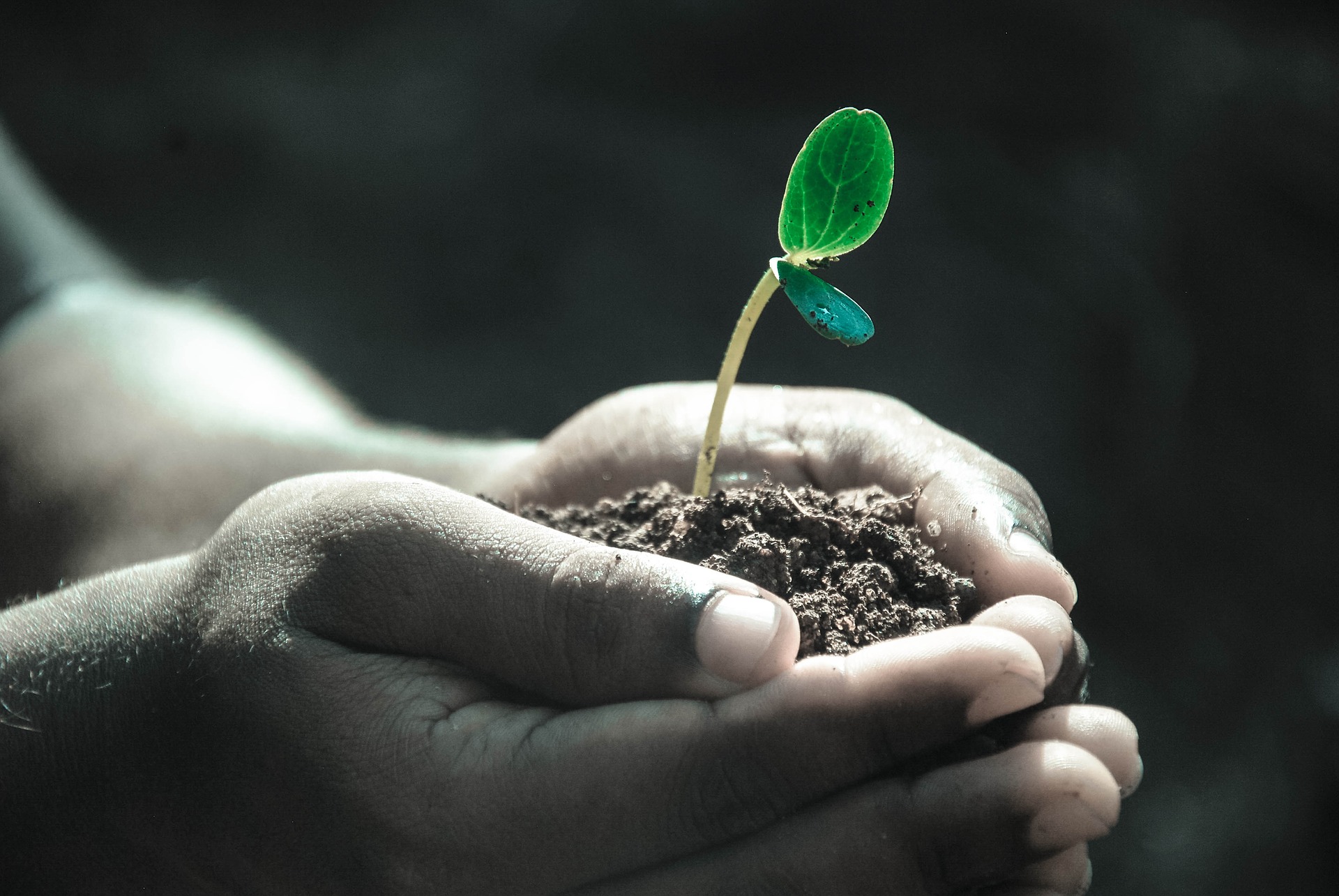 sowing hope for the planet