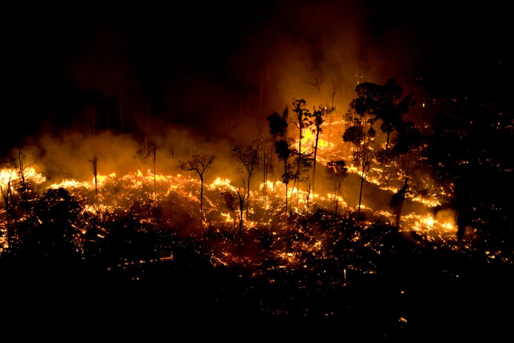 Brazilian Bishops: "Raise your voice for the Amazon"